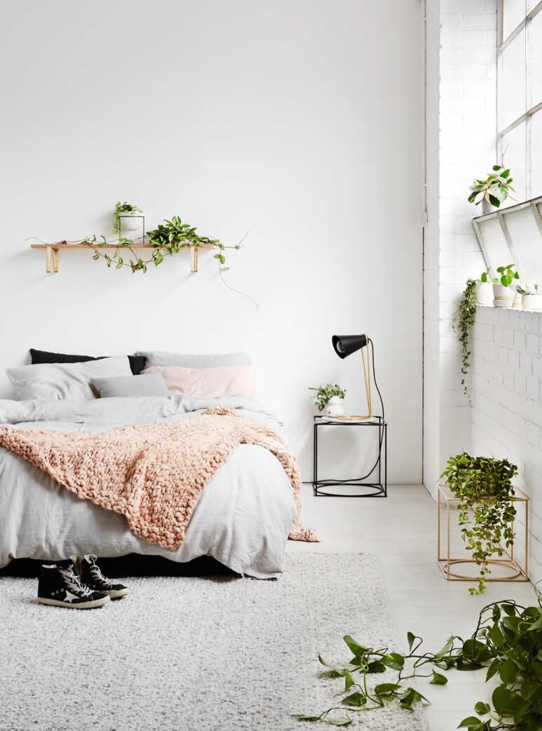 A bedroom with athens gray wall and shades of gray bedroom items team up with the green plants